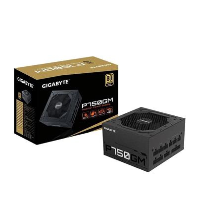 FUENTE MODULAR GIGABYTE 750W 80 PLUS GOLD (P750GM) 