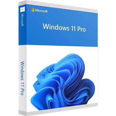 WINDOWS 11 PRO 64BIT SPANISH LATAM